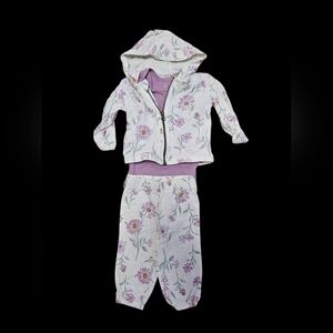 9mo Carters Floral Hooded Set